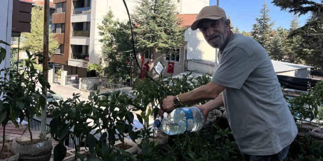 18 metrekarede mucize yarattı! Şehrin göbeğinde tarım: Terasını tam 200 fide süslüyor 5